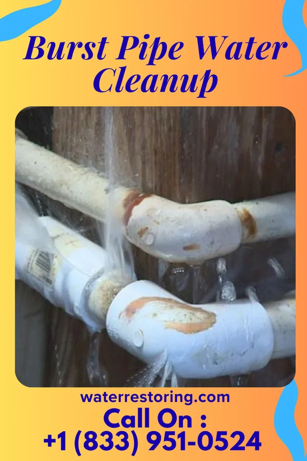 Burst Pipe Water Cleanup in Kiskimere, PA