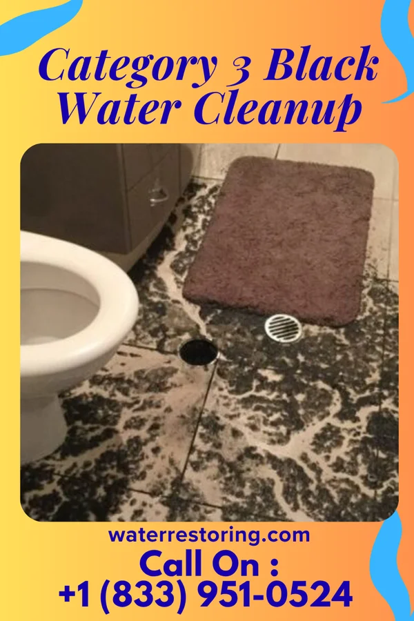 Category 3 Black Water Cleanup in Kiskimere, PA