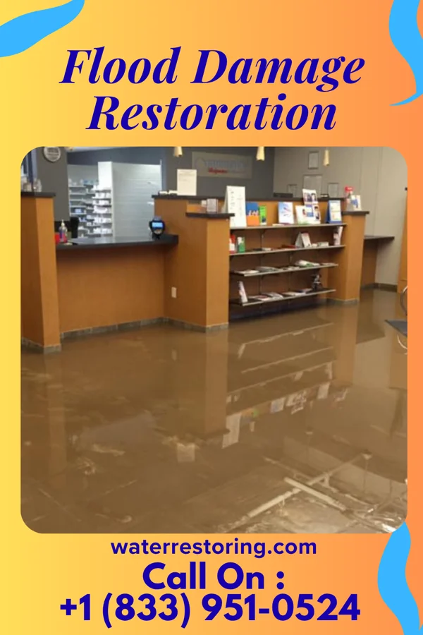 Flood Damage Restoration in Kiskimere, PA
